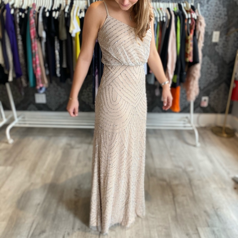 Gorgeous Adrianna Papell gown!